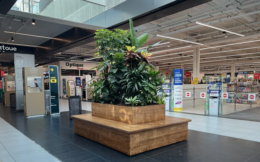 Banquette végétale en bois avec grand bac planté, mail commercial Auchan Roncq