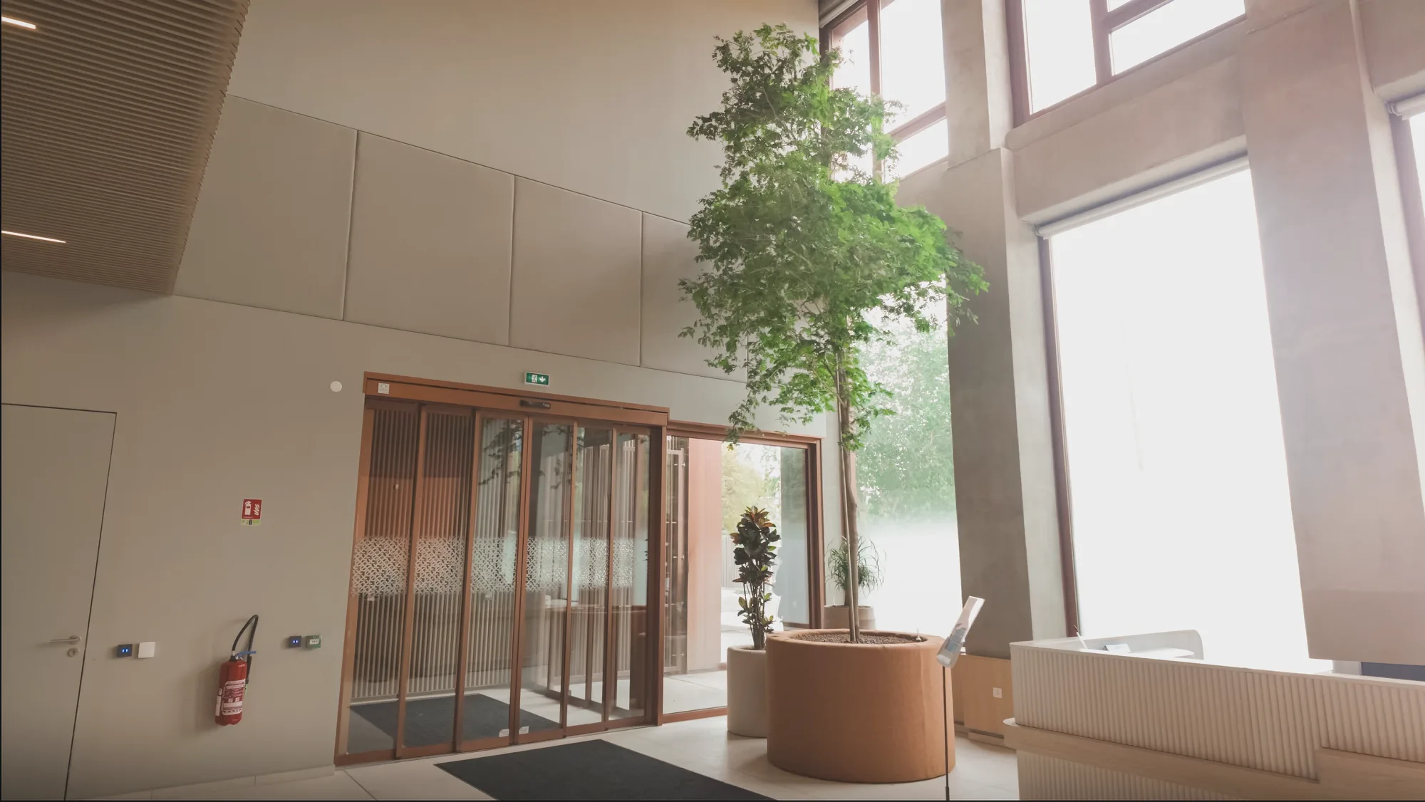 Hall d’accueil végétalisé avec grand arbre planté, siège régional RTE LiL’up à Lille